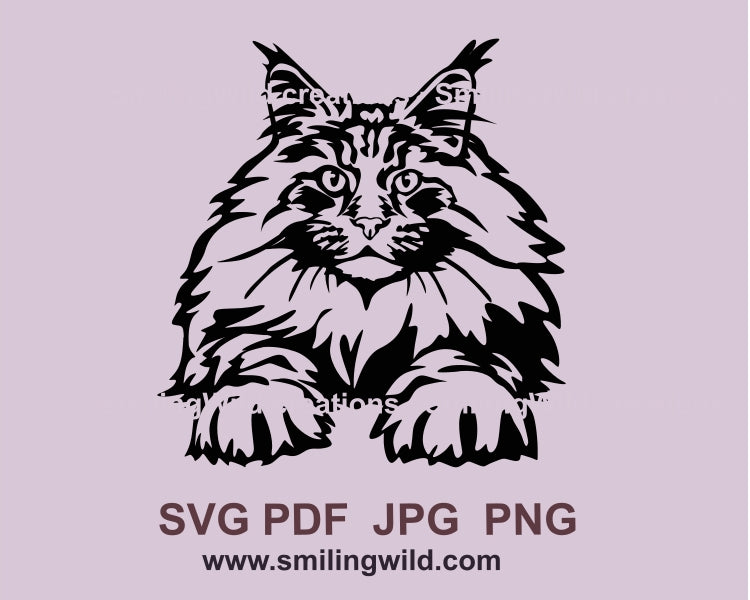 Liegende Maine Coon Katze SVG ClipArt Design