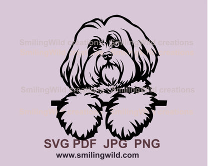 Coton de tulear svg dog vector graphic clip art