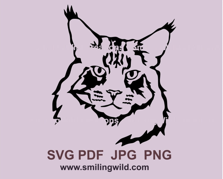 Lying Maine coon cat svg portrait, cat vector file, cat cuttable clip art design