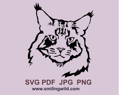 Liegende Maine Coon Katze SVG Portrait, Katzen Vektordatei, schneidbares Katzen Clip Art Design