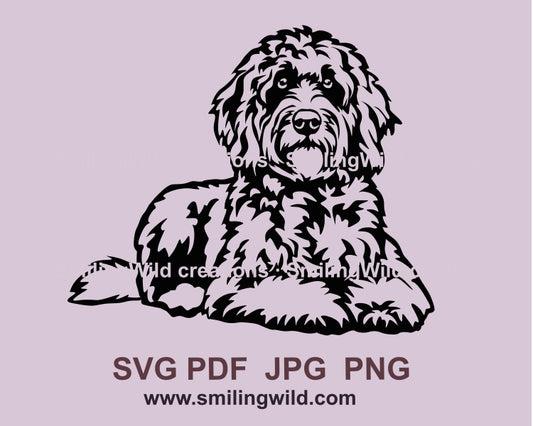 Goldendoodle SVG schneidbare Vektor ClipArt-Datei