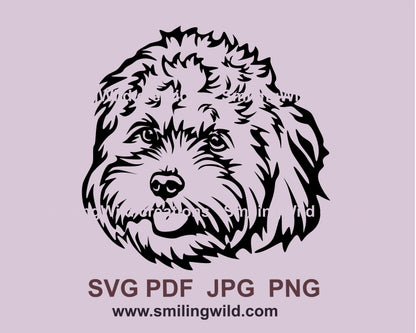 Cavapoo svg cuttable clip art portrait