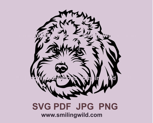 Cavapoo SVG, schneidbares ClipArt-Porträt