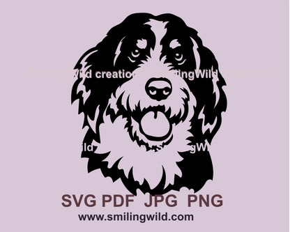 Bernedoodle SVG-Clipart