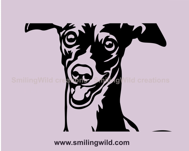 Italian greyhound dog svg vector graphic clip art, Italian greyhound dog digital vector graphic file