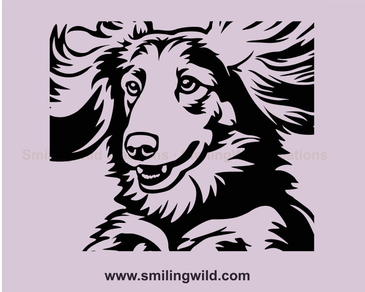 Langhaardackel SVG Hund Agility Sprung Clip Art Design