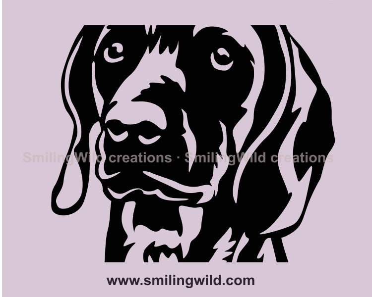 Bavarian mountain scent hound svg vector file