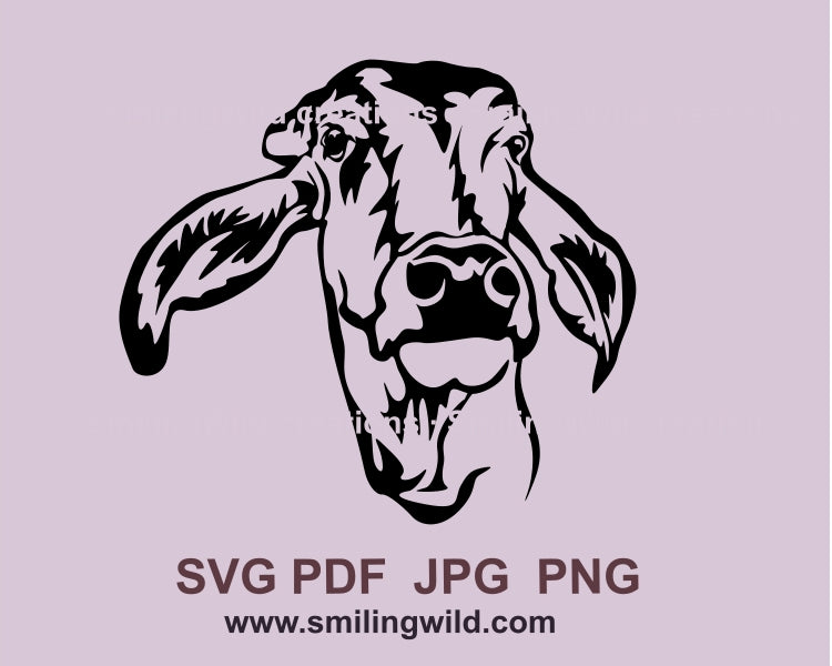 Brahman Kuh SVG Vektordatei, Brahman Rinder Clip Art schneidbares Design