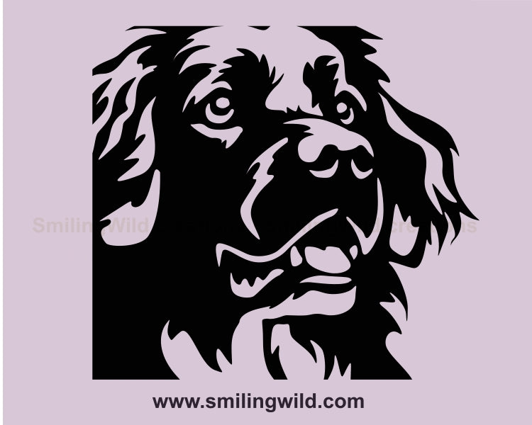 Stabyhoun svg dog vector graphic clip art, Stabyhoun digital vector graphic file