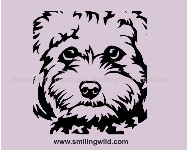 Cavapoo SVG, Vektor Clip Art, digitales Design, Hund SVG, digitale Kunst