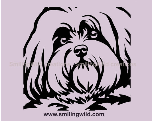 Coton de Tuléar SVG Hund Vektorgrafik ClipArt