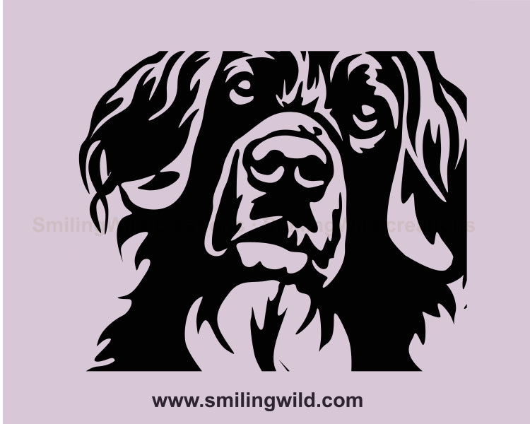 Stabyhoun Hund SVG Clip Art Portrait, Stabyhoun Vektor Grafikdatei