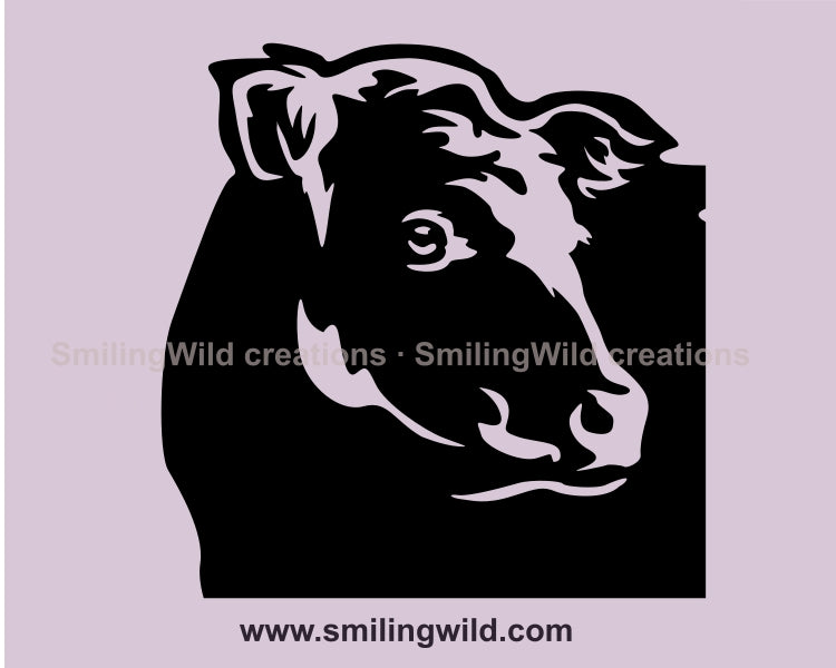 Belted Galloway cow svg vector file, Belted Galloway cattle clip art cuttable design