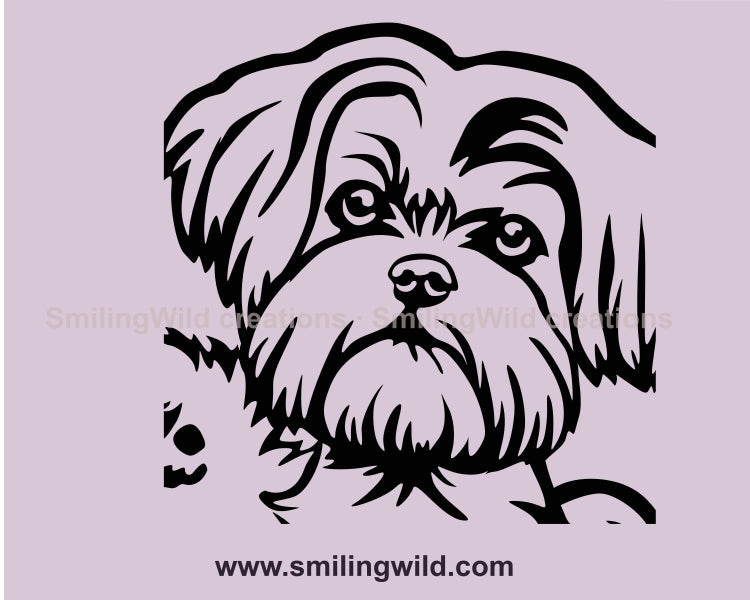 Maltese svg vector clip art file, dog svg