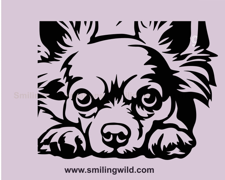 Liegender langhaariger Chihuahua Hund SVG Clip Art Portrait, Hund Vektor Grafikdatei