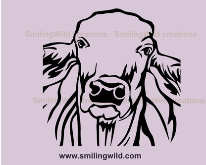 Brahman cattle svg cuttable clip art file, Brahman cow vector graphic design