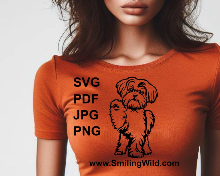 Maltese svg vector clip art file, dog svg