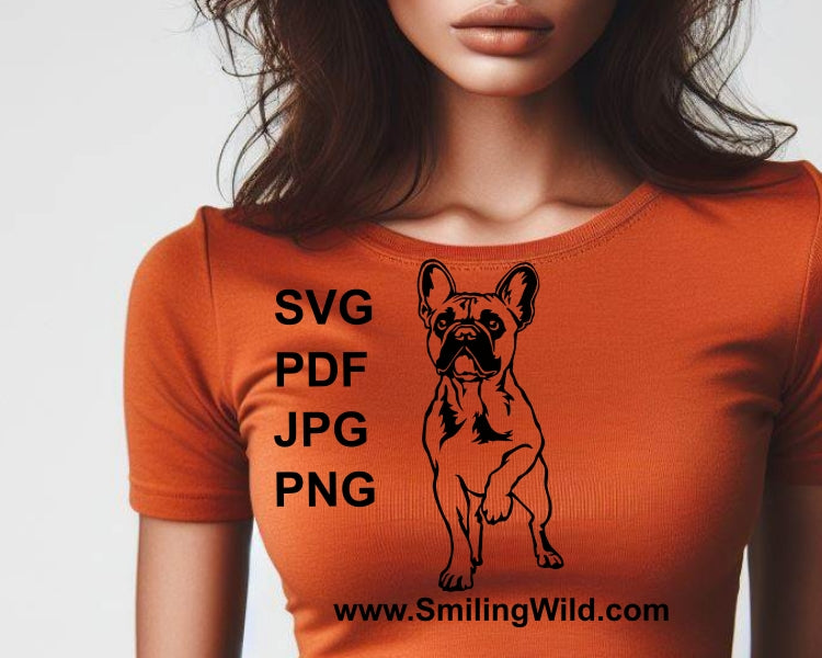 Französische Bulldogge SVG Clip Art Design, französische Bulldogge Vektor Grafikdatei