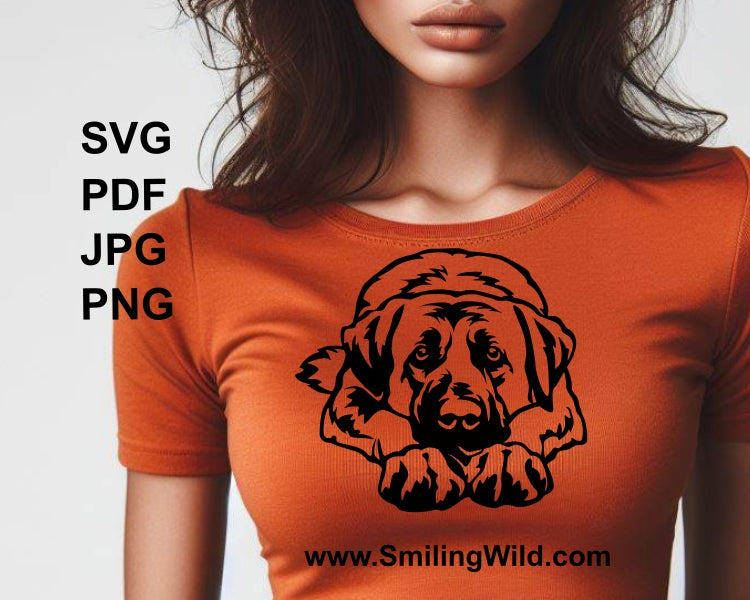 Kangal svg vector graphic, Anatolian shephred svg clip art portrait