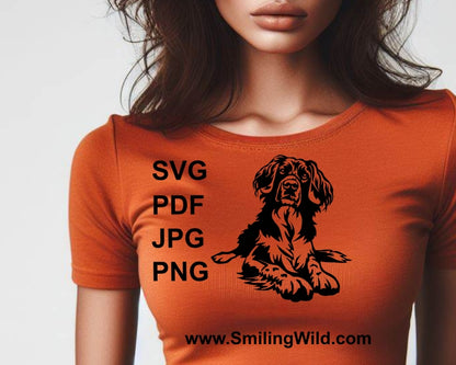 Stabyhoun Hund SVG Clip Art Portrait, Stabyhoun Vektor Grafikdatei