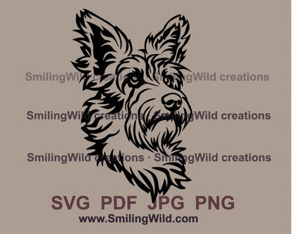 Dog from Portugal - Podengo in black vector color