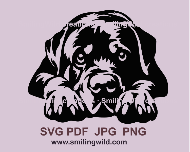 Rottweiler iportrait made in clip art style