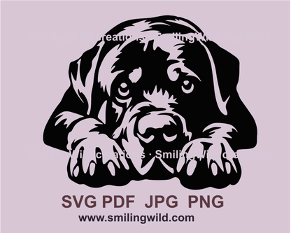 Rottweiler iportrait made in clip art style