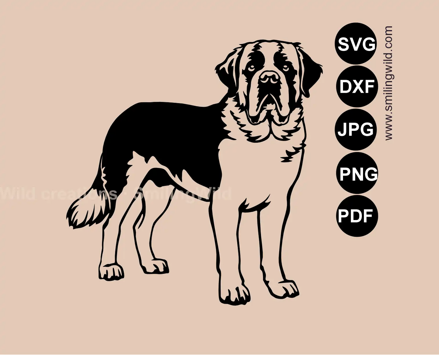 Saint Bernard Full Body clipart and vector art in SVG, PNG and DXF files for professional digital design