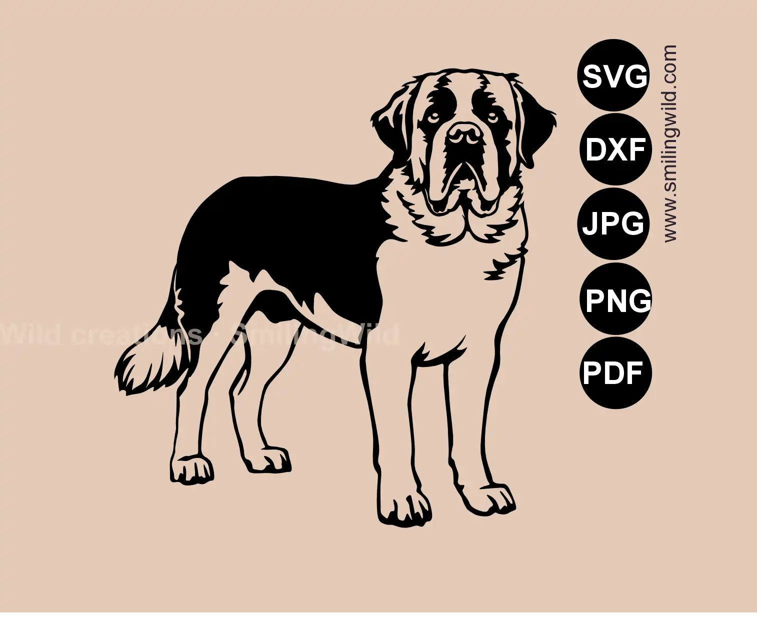 Saint Bernard Full Body clipart and vector art in SVG, PNG and DXF files for professional digital design