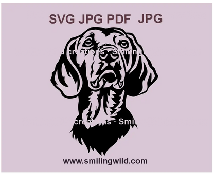 Schiller Hound hunting dog clipart featuring a detailed vector design of the Swedish hunting breed, ideal for crafting and engraving