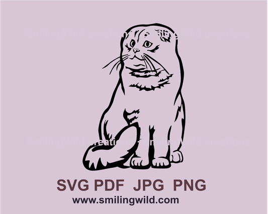 Sitting Scottish Fold cat in vector graphic style
