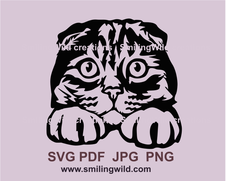 Scottish Fold cat face clip art image