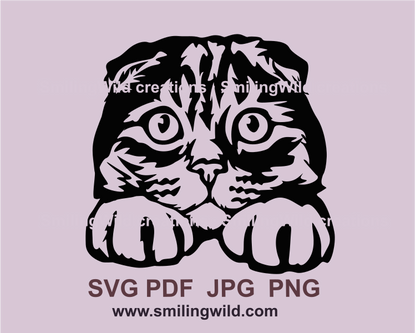 Scottish Fold cat face clip art image