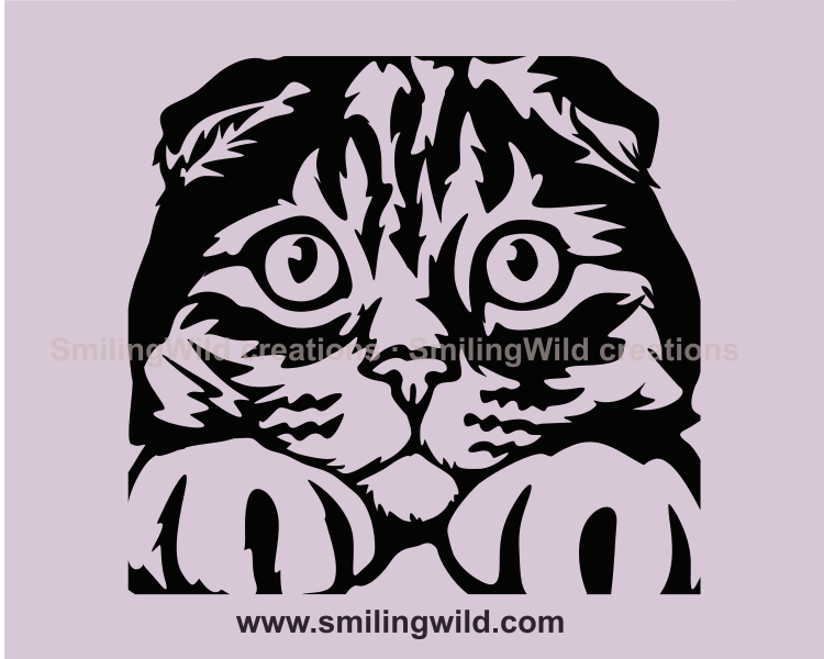 Scottish Fold cat vector graphic face design