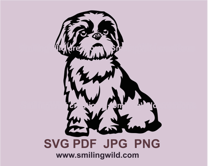 Sitting little and cute shih tzu dog with a nice hair cut