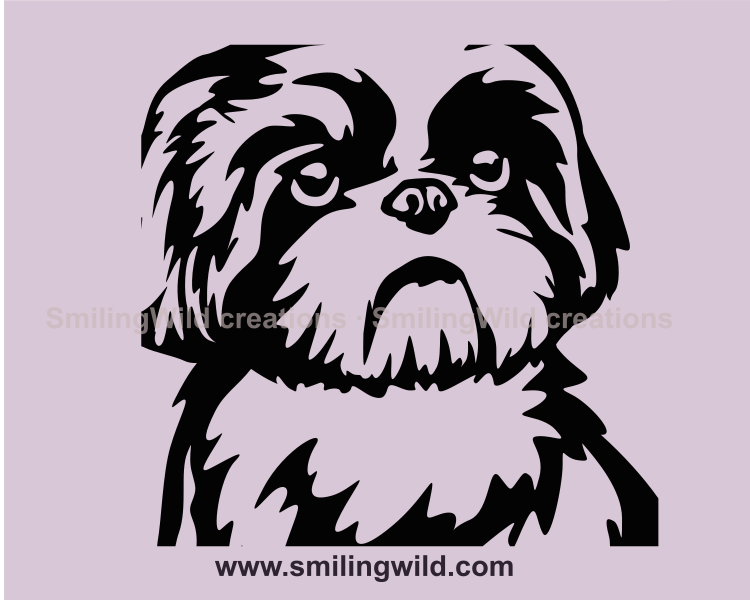 shih tzu portrait cloese up