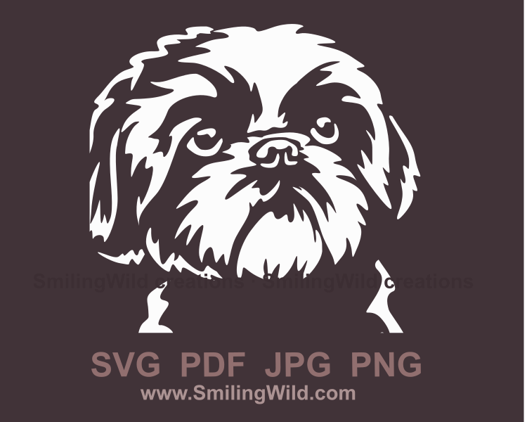 shih tzu face close up