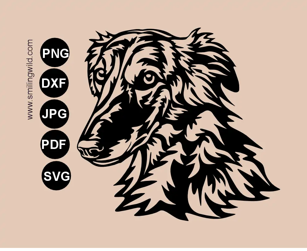 Vector graphic head portrait of Silken Windsprite SVG PNG DXF cut file presenting a dog face in a 45-degree angle and serious expression.