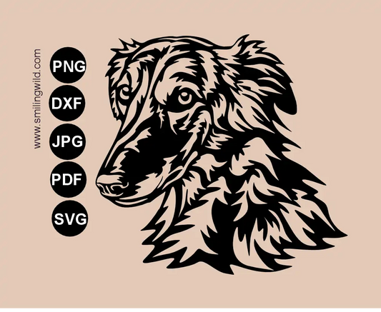Vector graphic head portrait of Silken Windsprite SVG PNG DXF cut file presenting a dog face in a 45-degree angle and serious expression.