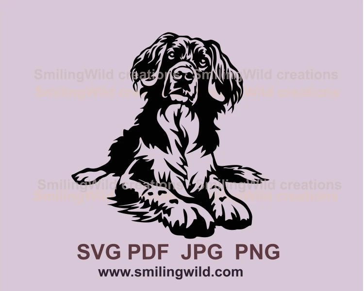 lying stabyhoun dog in black graphic art