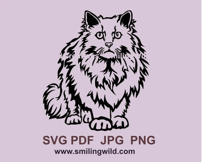 Angora cat standing and looking forward in black graphic art