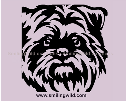 affenpinscher close up portrait