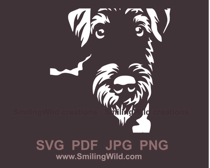 Airedale terrier vector drawing close up