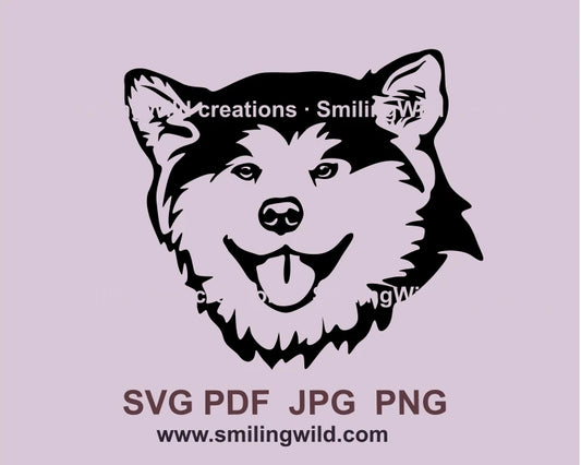 Smiling akita ionu black vector ine work