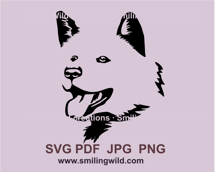 Smiling Akita inu, showing tongue digital drawing