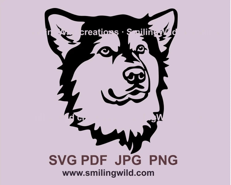 Northern dog malamute black line graphic