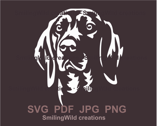 Alpendachsbracke SVG Hund ClipArt