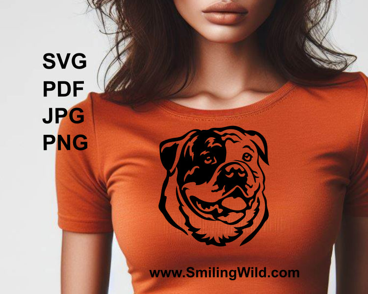 American bulldog face shown as t shirt design