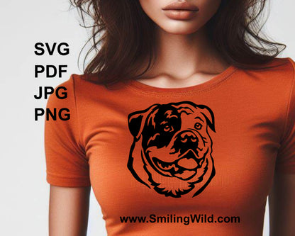 American bulldog face shown as t shirt design