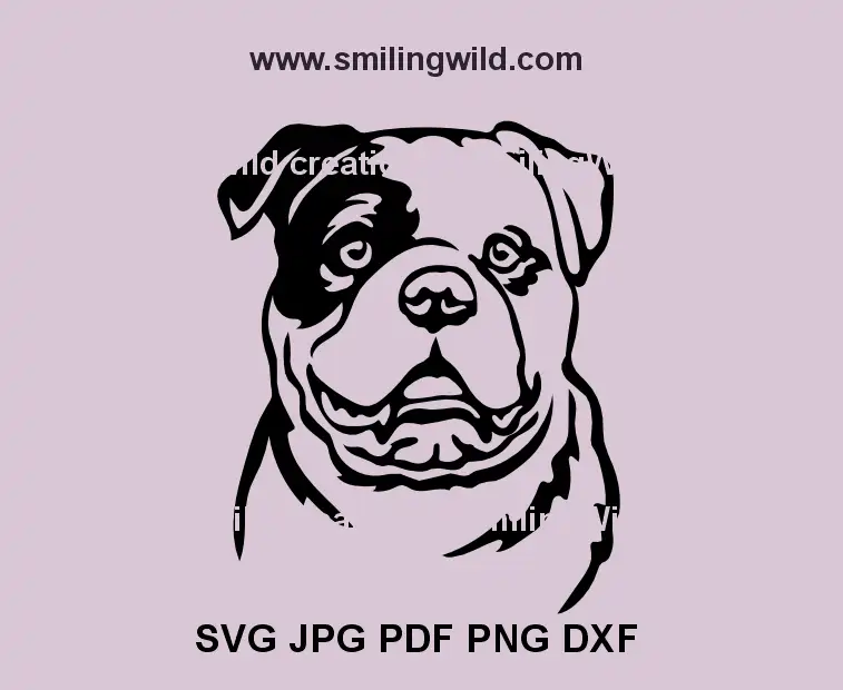 American Bulldog dog head black SVG – ideal for vinyl decals and Cricut designs
